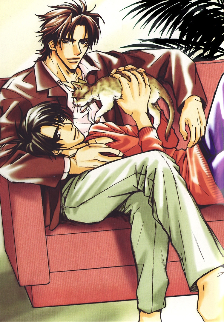 shiawase no category